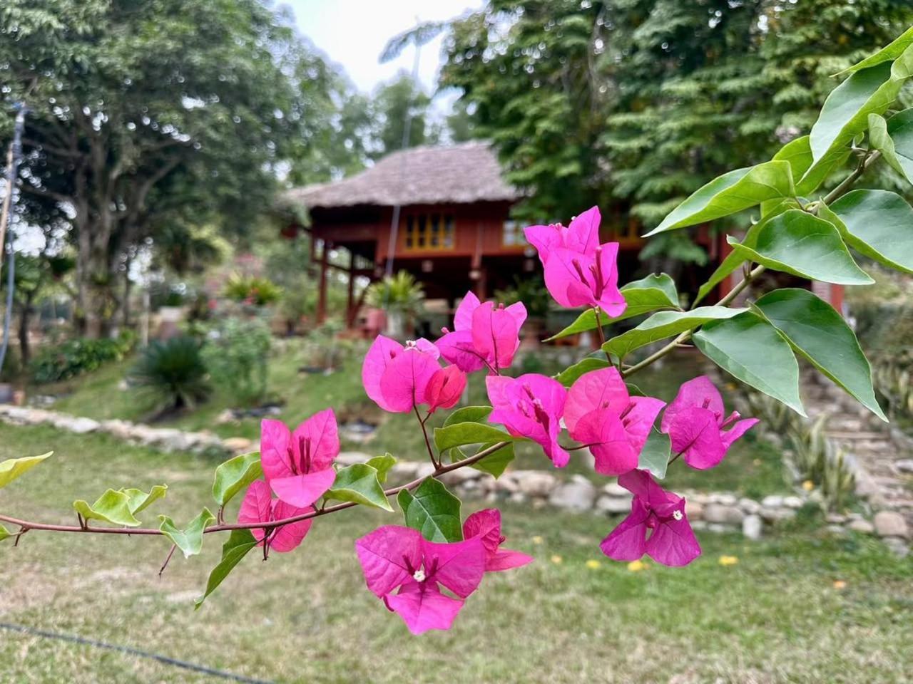 Pai Bjooc Homestay Tuyen Quang Exterior foto